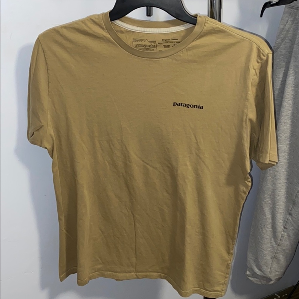 Patagonia Tee